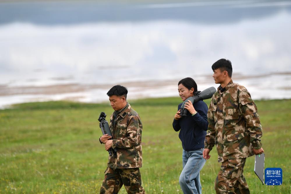 禅游游戏捕鱼